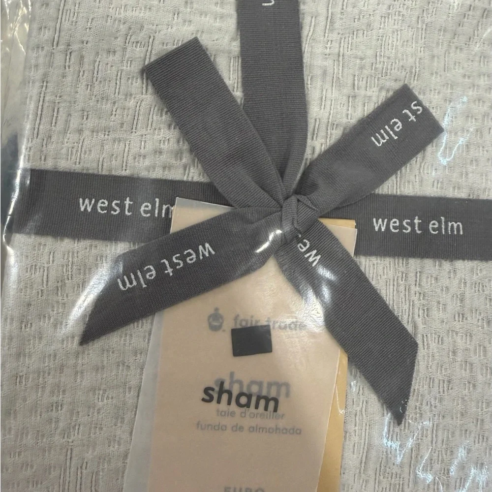 West Elm 1 Euro Sham in Frost Grey